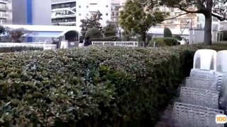 国产成人www免费人成看片